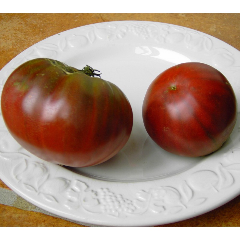Fleischtomate - Indische Tomate - Tomaten