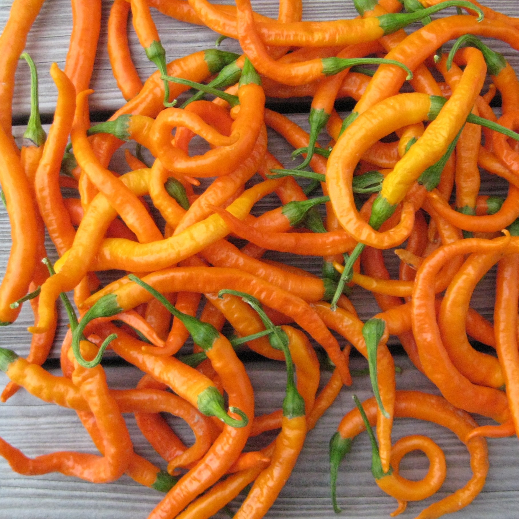 Chili Turuncu spiral Gemüse