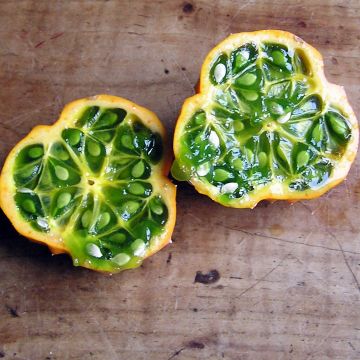 Zackengurken-Samen - Apfelkiwano