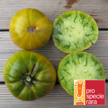 Fleischtomatensamen - Evergreen