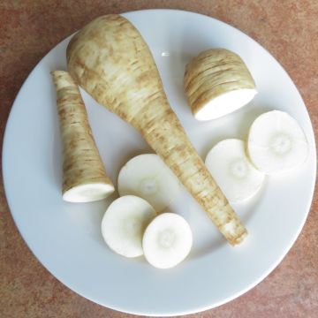 Pastinake-Samen - Aromata