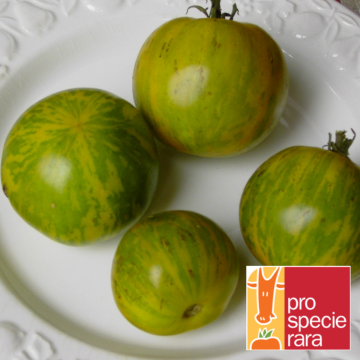Tomatensamen - Green Zebra