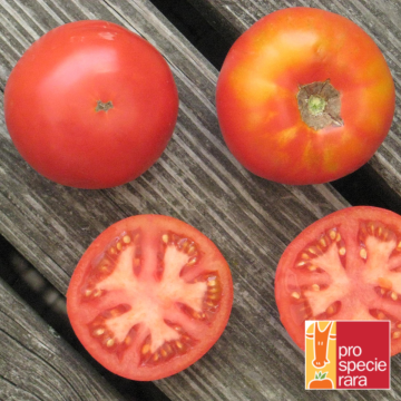 Fleischtomatensamen - Merveille des Marchés
