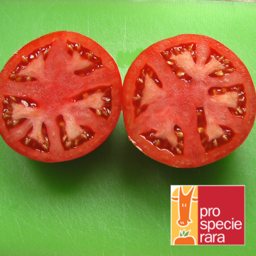 Fleischtomatensamen - Tafelfreude