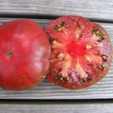 Fleischtomatensamen - Black Brandywine