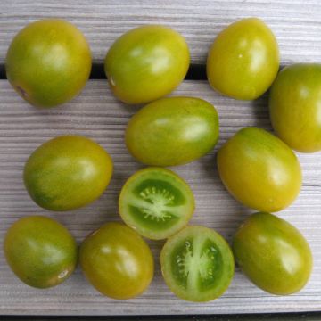 Tomatensamen (Busch) - Green Grape