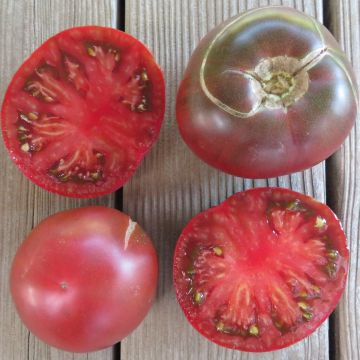 Fleischtomatensamen - Indische Tomate