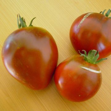 Fleischtomatensamen - Lilac
