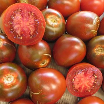 Tomatensamen - Paul Robson