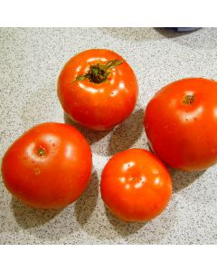 Tomate - Lungi Si Rotunde