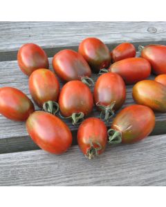 Tomate - Prune Noire