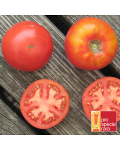 Fleischtomatensamen - Merveille des March&eacute;s