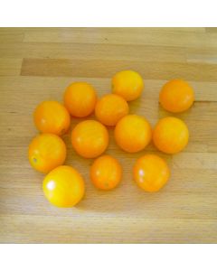 Cocktailtomatensamen - Blondk&ouml;pfchen