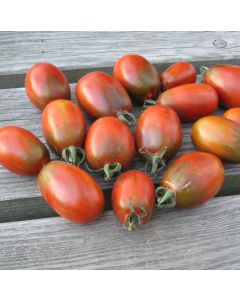Tomatensamen - Prune Noire