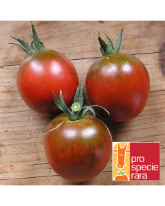 Tomatensamen - Black Ethiopian