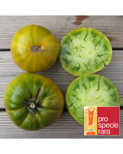 Fleischtomatensamen - Evergreen