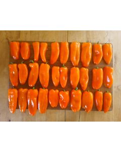 Paprikasamen - Lunchbox Orange