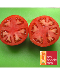 Fleischtomatensamen - Tafelfreude