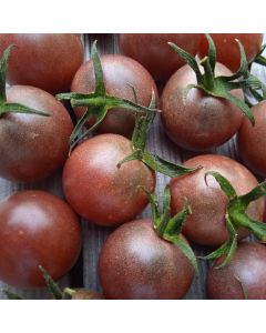 Cocktailtomatensamen - Black Cherry
