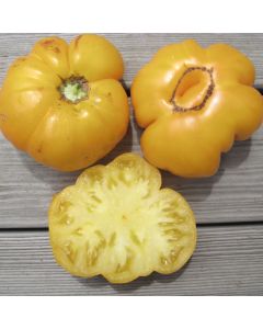 Fleischtomatensamen - Gelbe Russische