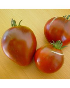 Fleischtomatensamen - Lilac