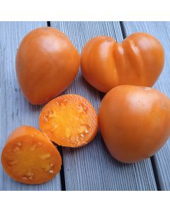 Fleischtomatensamen - Ochsenherz Orange