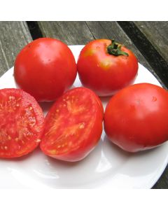 Fleischtomatensamen - Piroka