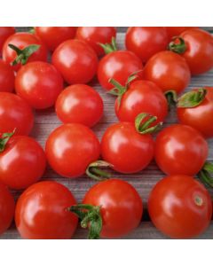 Cocktailtomatensamen - Waltingers