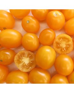 Cocktailtomatensamen - Yellow Cherry
