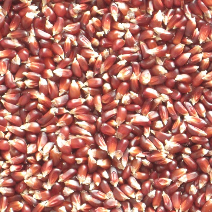 saatgut für hochbeet Hochbeet Bio-Samen-Set (14 Sorten) kaufen main image 0