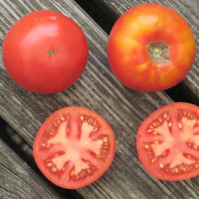 Fleischtomate - Merveille des Marchés